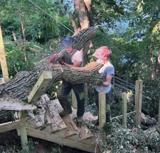 Full-time workers find time for small tree business